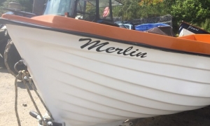 17